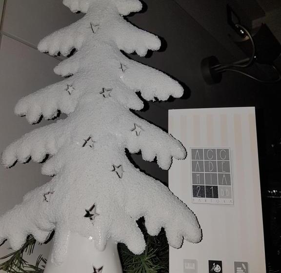 基本三人间, Accademia 21