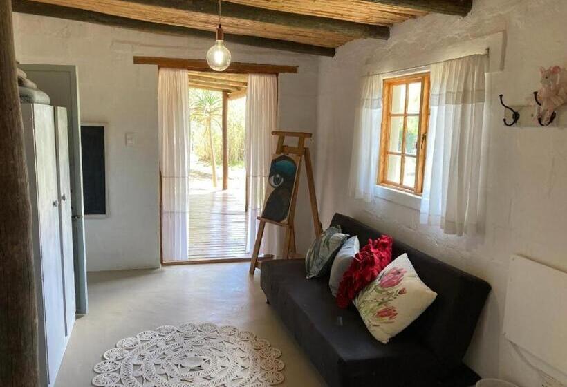 منزل غرفتين نوم, Karoo Feels