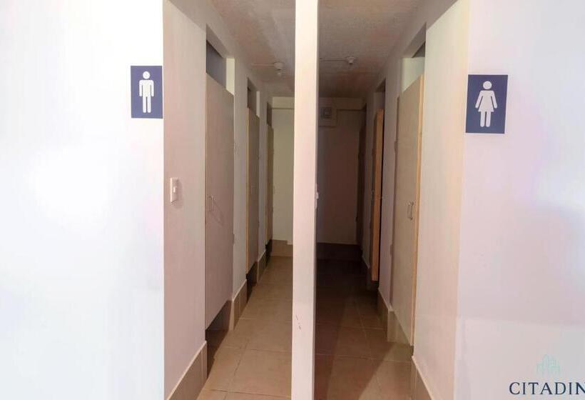 اتاق استاندارد چهار تخته, Citadin