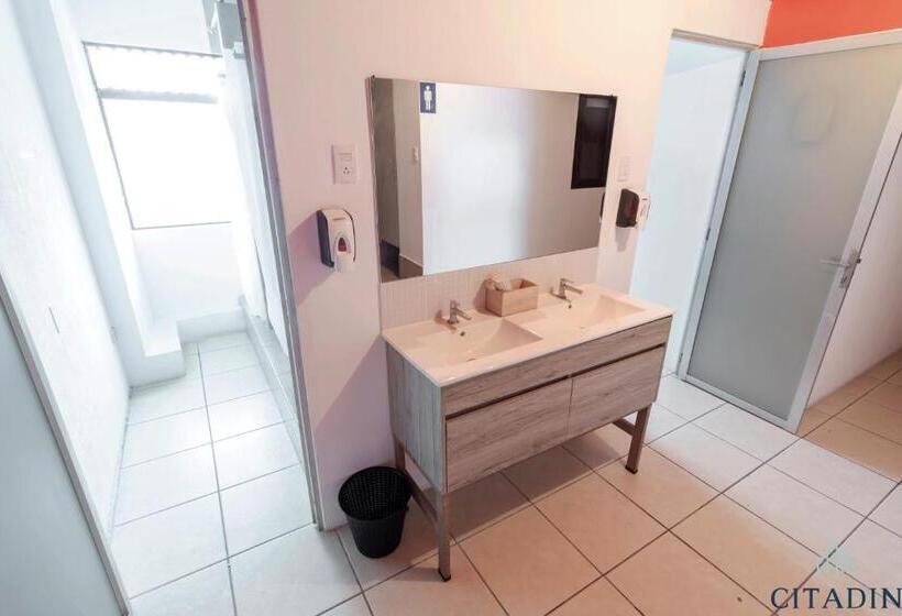 اتاق استاندارد چهار تخته, Citadin