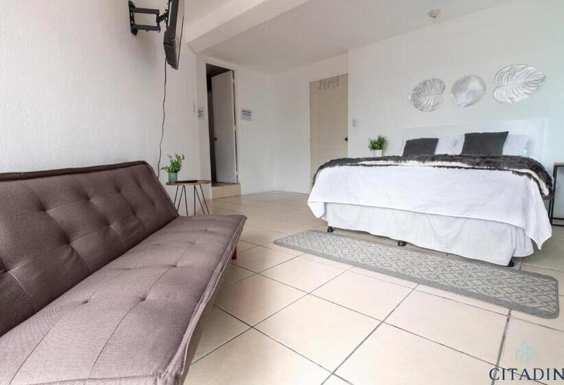 اتاق لوکس با بالکن, Citadin