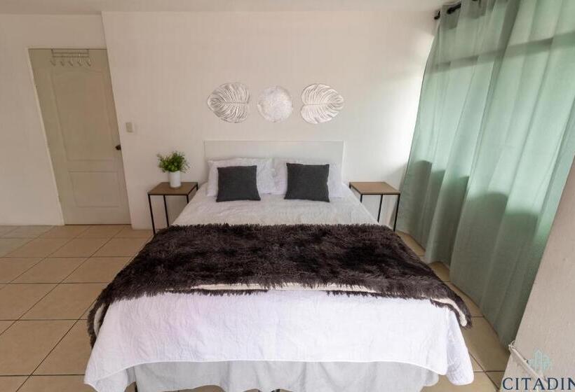 اتاق لوکس با بالکن, Citadin