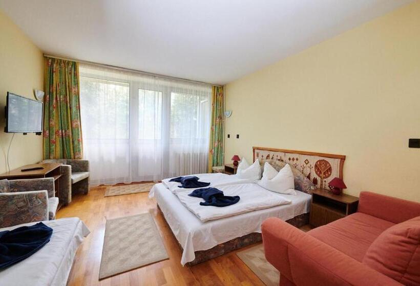 标准三人间, Retro Lido Vonyarcvashegy