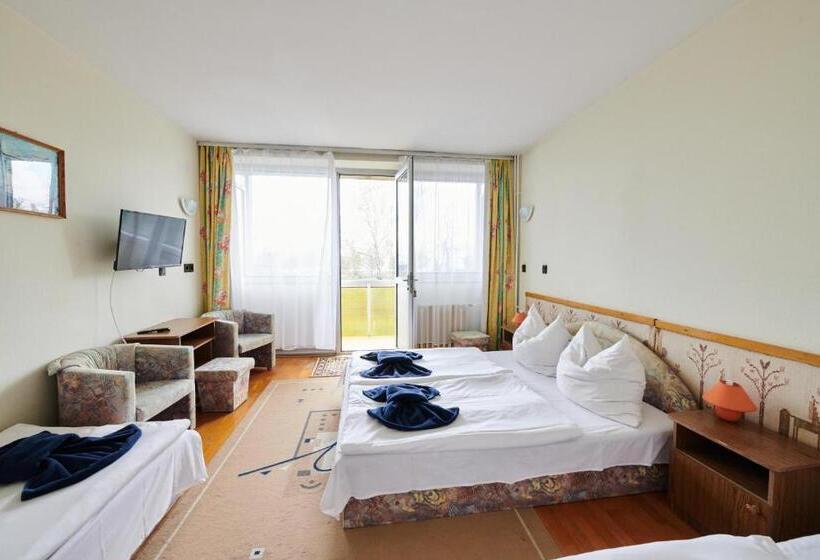 家庭间, Retro Lido Vonyarcvashegy