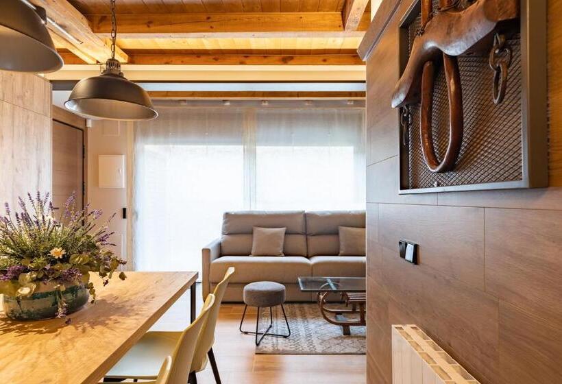 דירת חדר עם טרסה, Cerdanya Mountain Residences