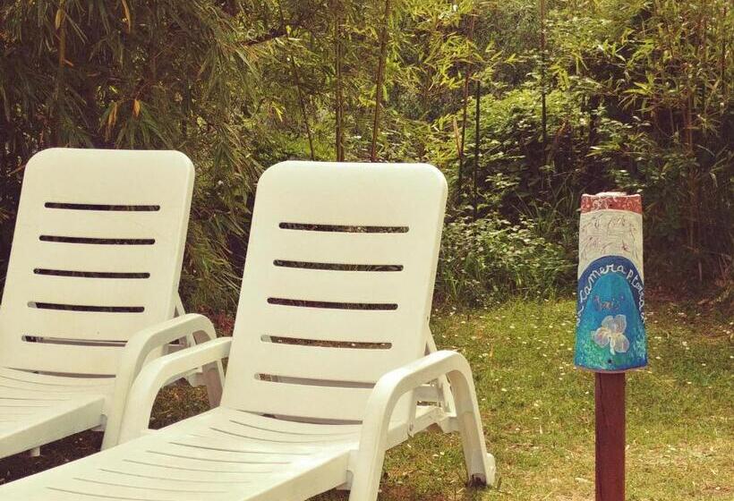 스탠다드 내측 룸, Agriturismo Botro