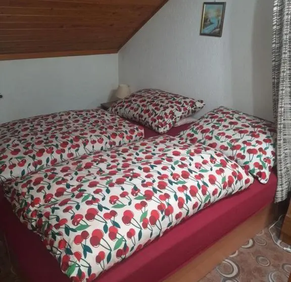 スタンダードトリプルルーム, Penzion Krušnohorka