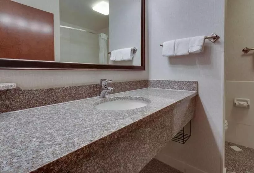 キングサイズベッドのスイートルーム, Drury Inn & Suites St. Louis Forest Park