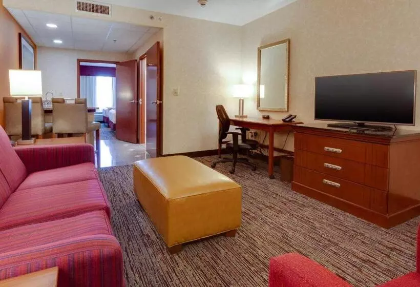 キングサイズベッドのスイートルーム, Drury Inn & Suites St. Louis Forest Park