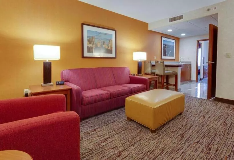 身障者適用スイートルーム, Drury Inn & Suites St. Louis Forest Park