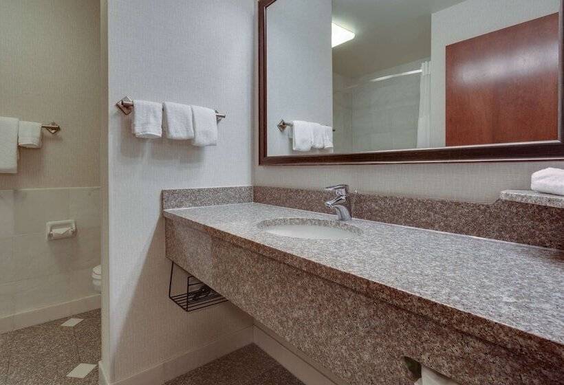 Номер Deluxe Адаптированный для Инвалидов, Drury Inn & Suites St. Louis Forest Park