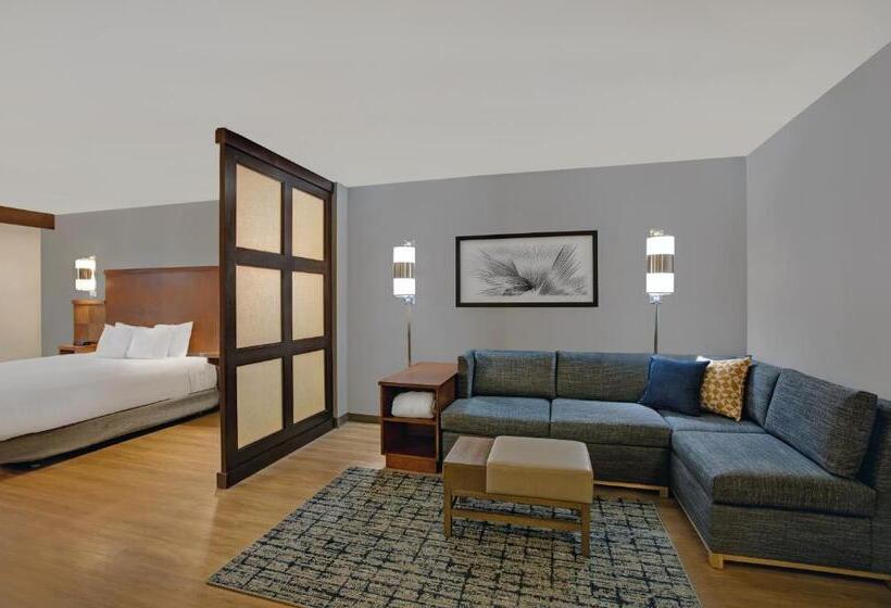 غرفة قياسية سرير كينج, Hyatt Place Jackson/ Ridgeland