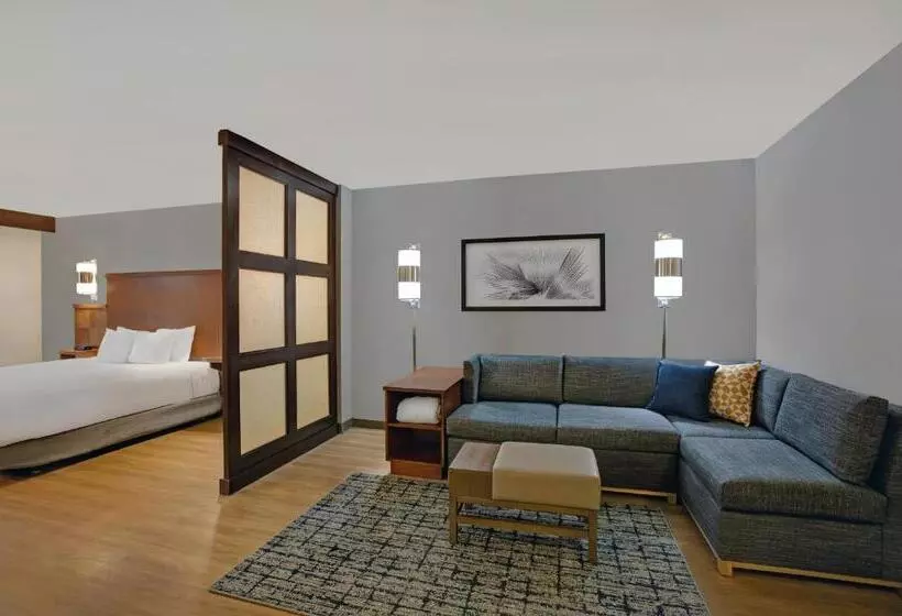 Standard-huone King-vuode, Hyatt Place Jackson/ Ridgeland