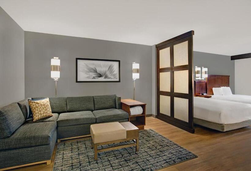 غرفه قياسيه سريرين مزدوجين, Hyatt Place Jackson/ Ridgeland