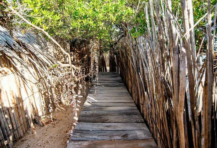 豪华房间, Bethel Playa Mayapo