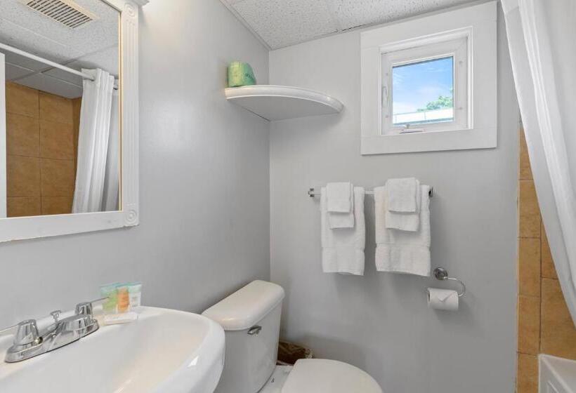 스탠다드 룸, Mt Royal Motel