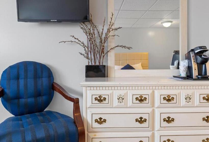 스탠다드 룸, Mt Royal Motel