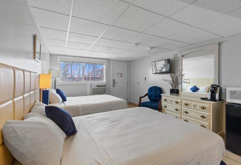 스탠다드 룸, Mt Royal Motel