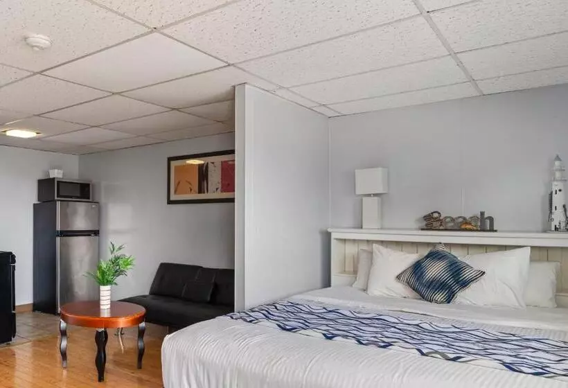 キングサイズベッドのデラックスルーム, Mt Royal Motel