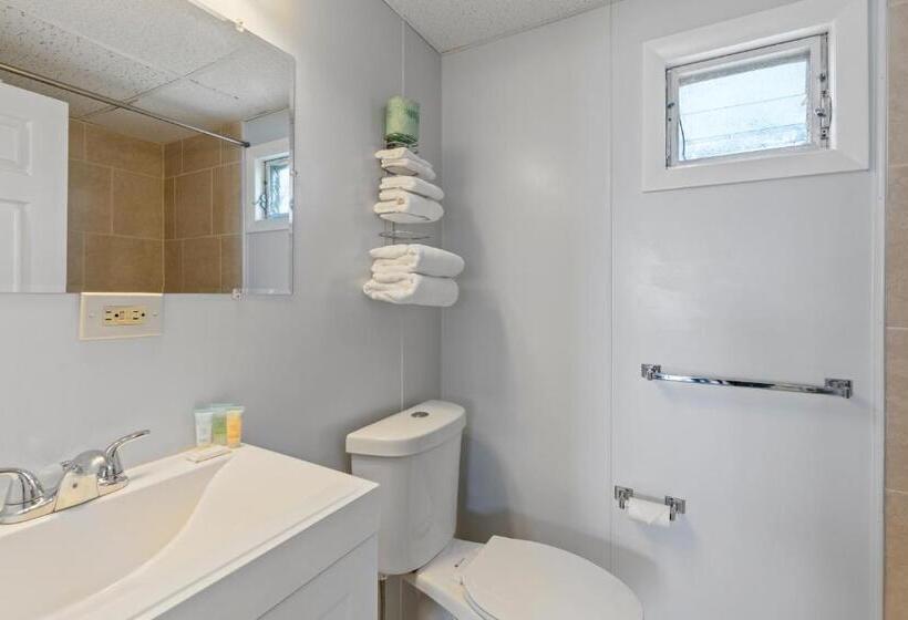 스탠다드 룸 킹사이즈 침대, Mt Royal Motel