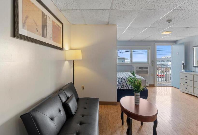 스탠다드 룸 킹사이즈 침대, Mt Royal Motel