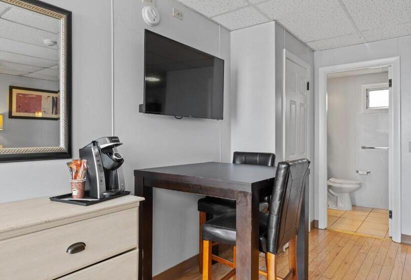 اتاق لوکس با تخت بزرگ, Mt Royal Motel