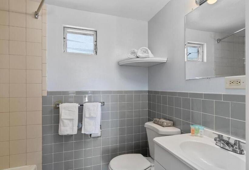 스탠다드 룸 킹사이즈 침대, Mt Royal Motel