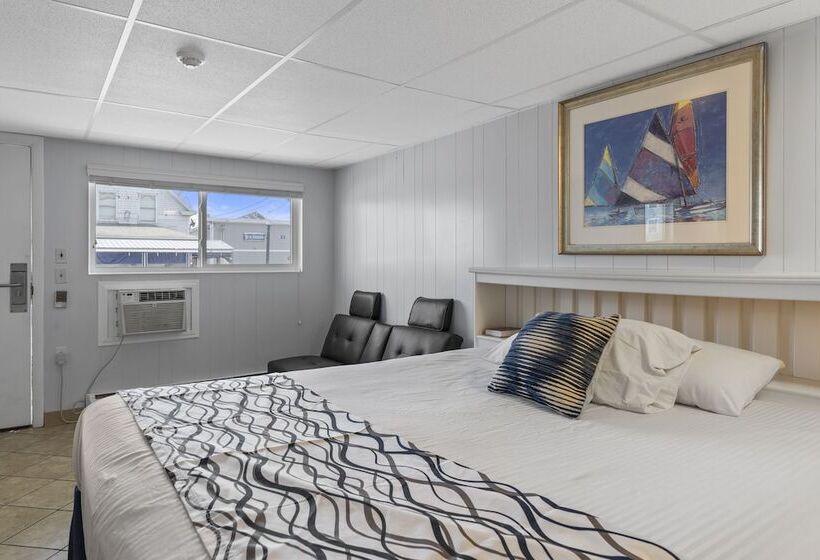 스탠다드 룸, Mt Royal Motel