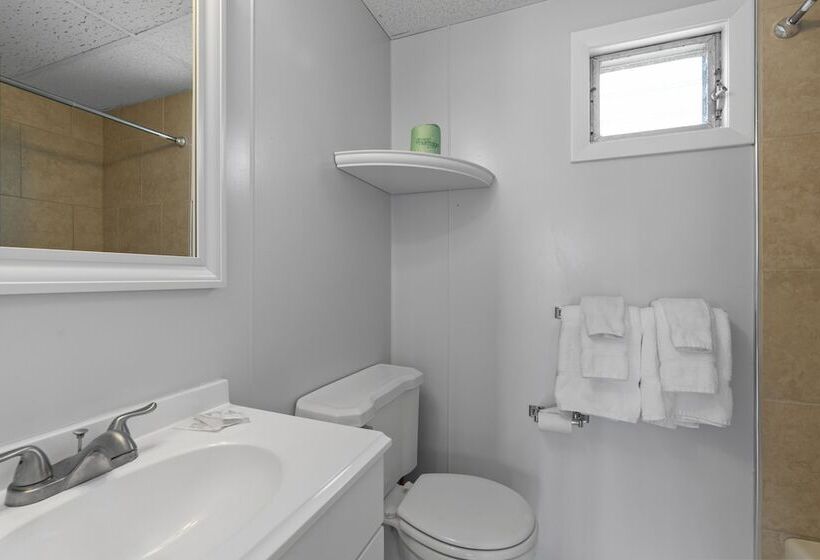 스탠다드 룸, Mt Royal Motel