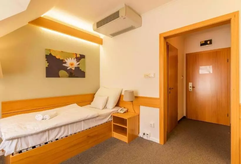 スタンダードシングルルーム, Aqua Hotel Termál