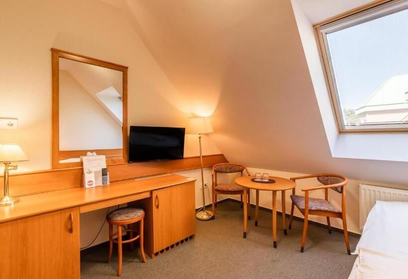 スタンダードシングルルーム, Aqua Hotel Termál