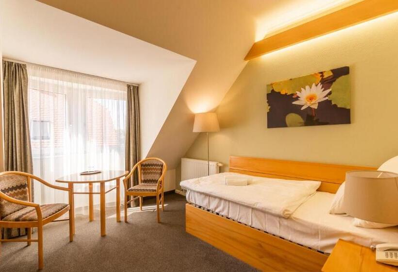 スタンダードシングルルーム, Aqua Hotel Termál