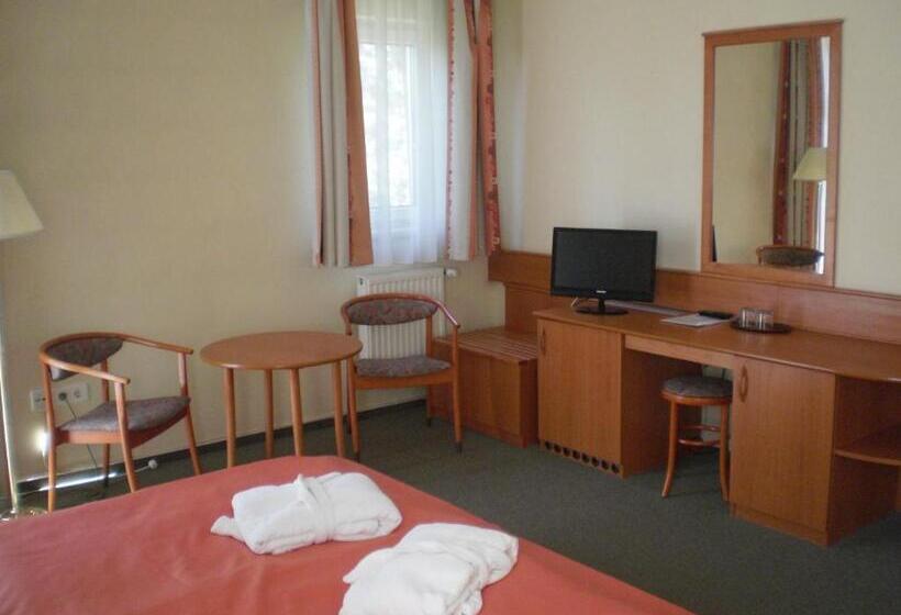 スタンダードルーム, Aqua Hotel Termál