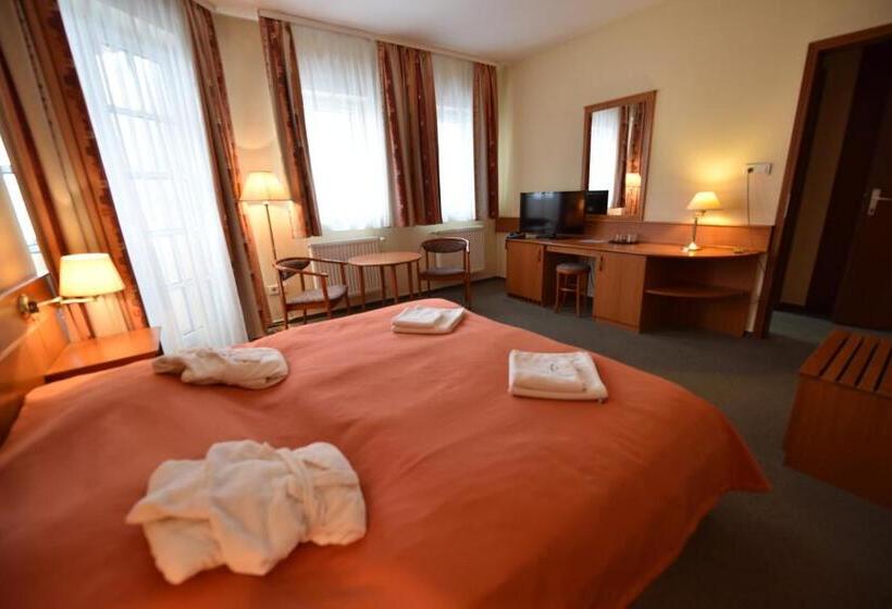 スタンダードルーム, Aqua Hotel Termál