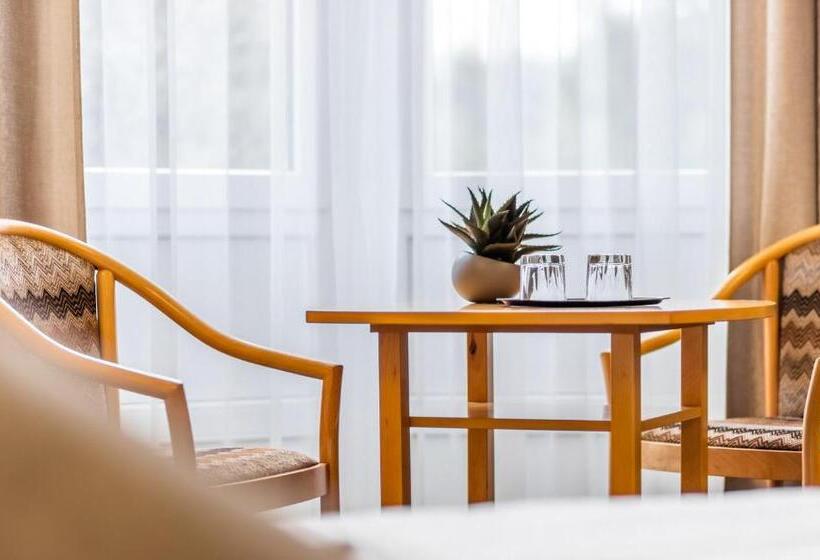 スーペリアールーム, Aqua Hotel Termál