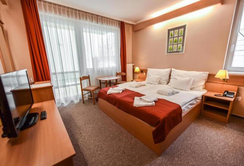 テラス付スーペリアルーム, Aqua Hotel Termál