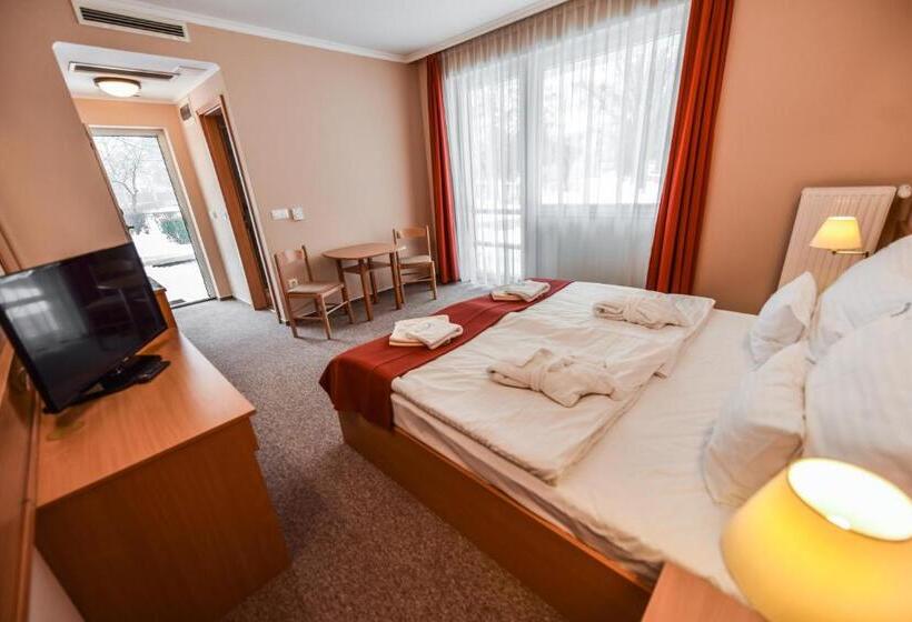 テラス付スーペリアルーム, Aqua Hotel Termál