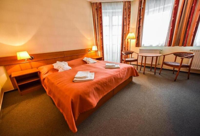 スタンダードルーム, Aqua Hotel Termál