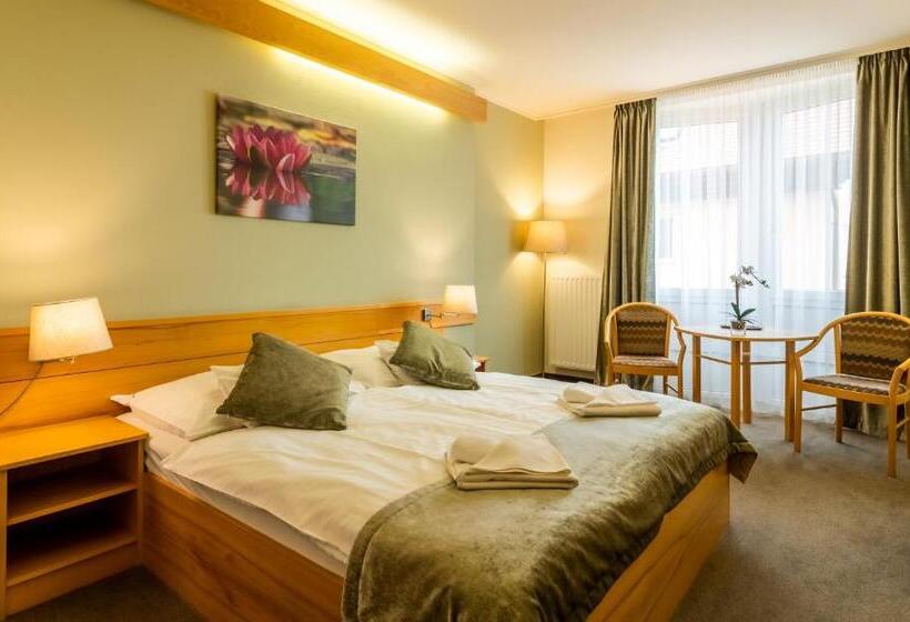 スーペリアールーム, Aqua Hotel Termál