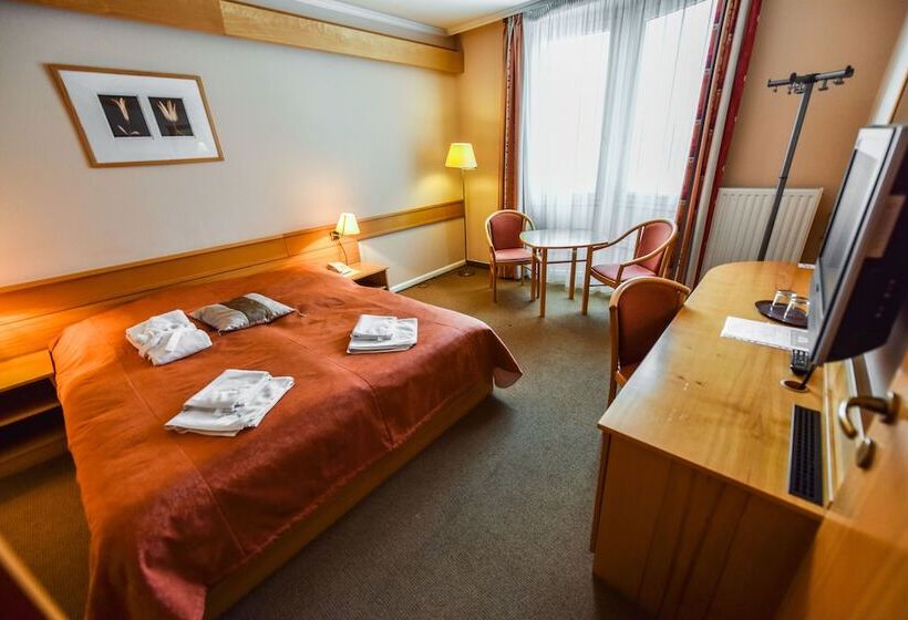 スタンダードルーム, Aqua Hotel Termál