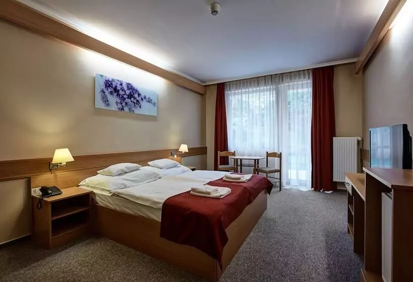 スーペリアールーム, Aqua Hotel Termál