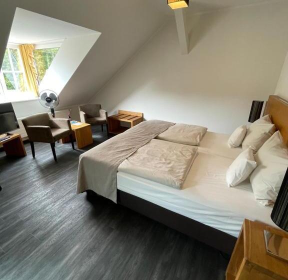 غرفة قياسية مطلة على المدينة, Hafenresidenz Stralsund