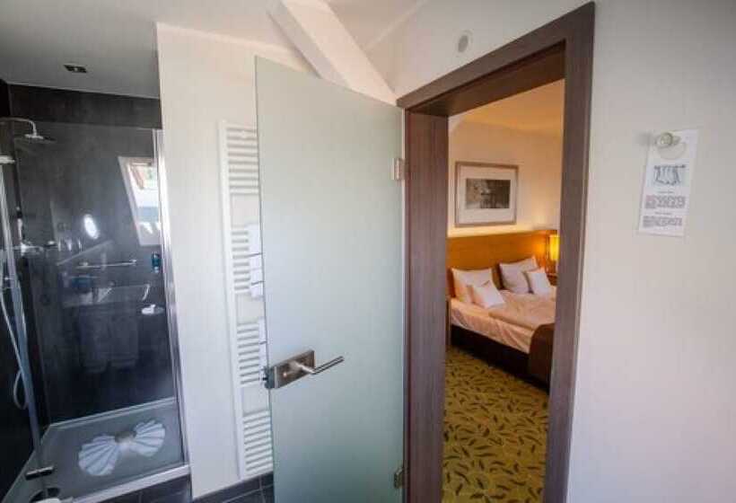 غرفة قياسية مطلة على المدينة, Hafenresidenz Stralsund