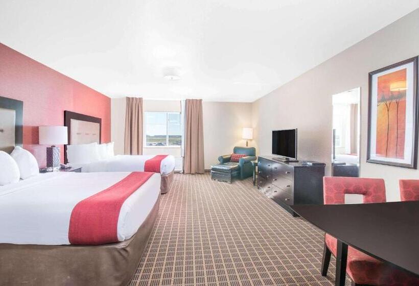 스탠다드 스튜디오, Hawthorn Extended Stay By Wyndham Dickinson