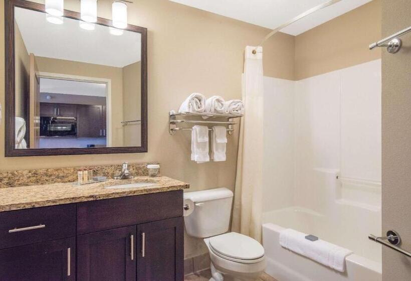 디럭스 스위트 킹 침대, Hawthorn Extended Stay By Wyndham Dickinson