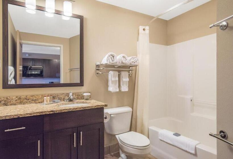 디럭스 스위트 킹 침대, Hawthorn Extended Stay By Wyndham Dickinson