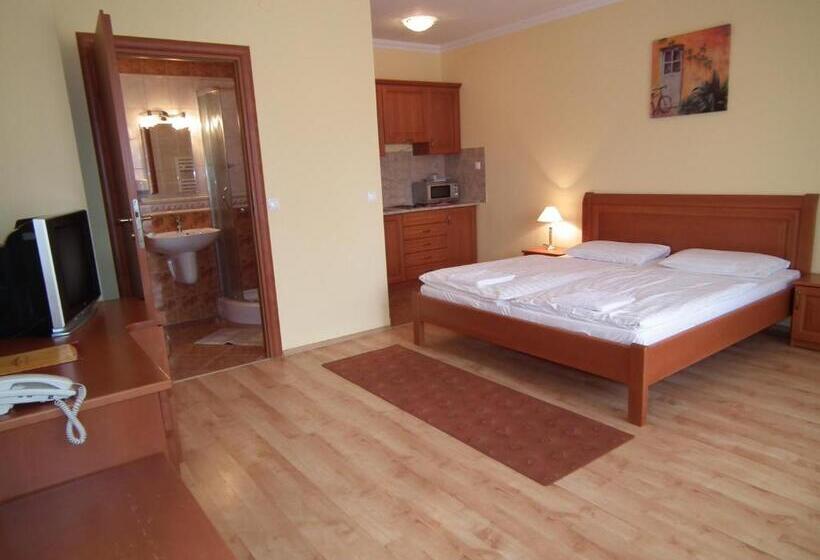 דירת חדר, Járja