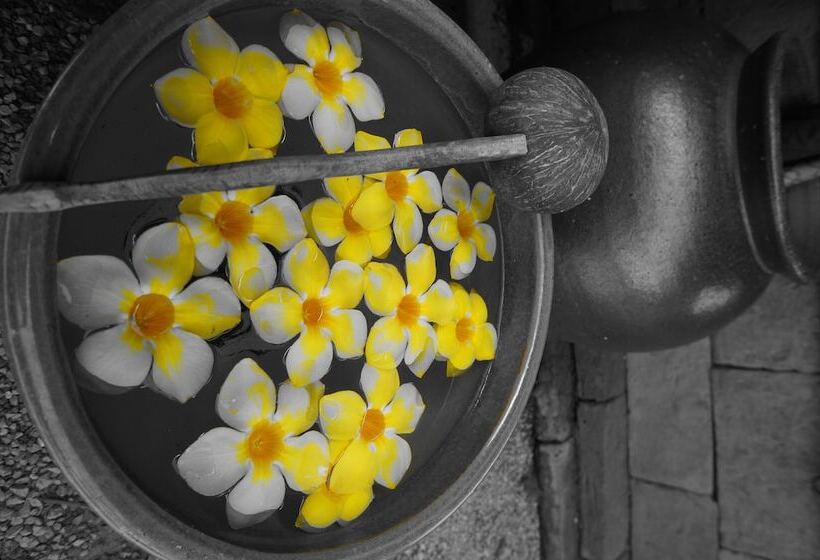 Люкс, Koyao Bay Pavilions   Beach Resort And Pool Villas