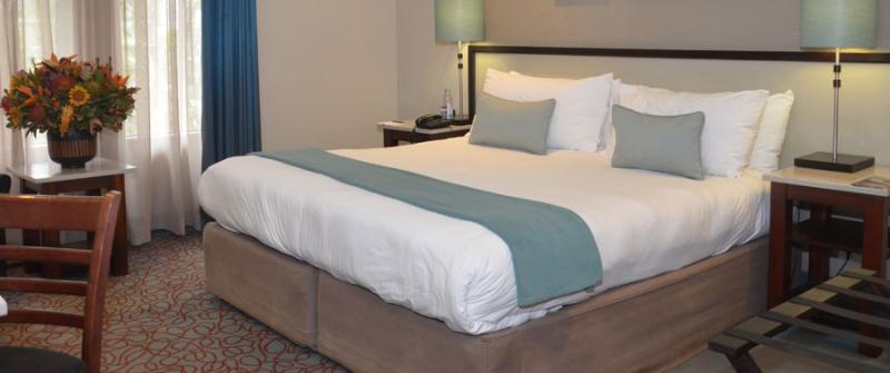 エクゼクティブスイート, Metcourt At Khoroni