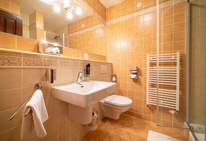 غرفة قياسية, Kurhotel Tivoli